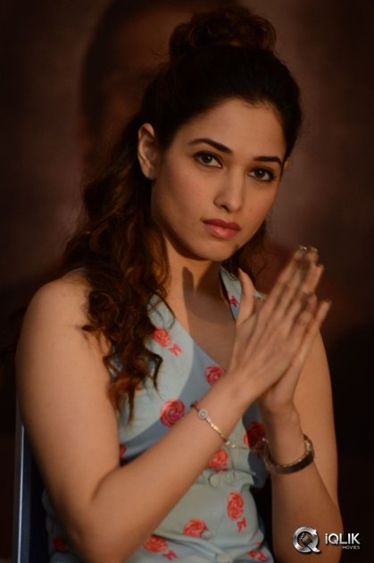 Bengal-Tiger-Movie-Success-Meet